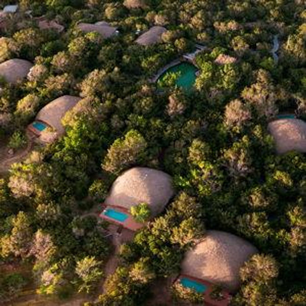 Luxury Safari Stay
