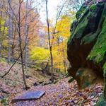 Mohican State Park