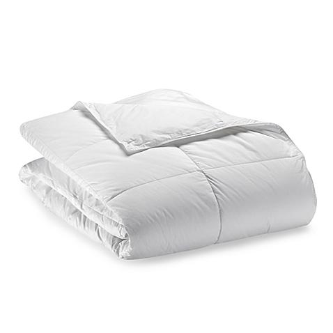 Robin Wilson Home Allergy-Free Year Round Warmth Down Alternative Full/Queen Comforter