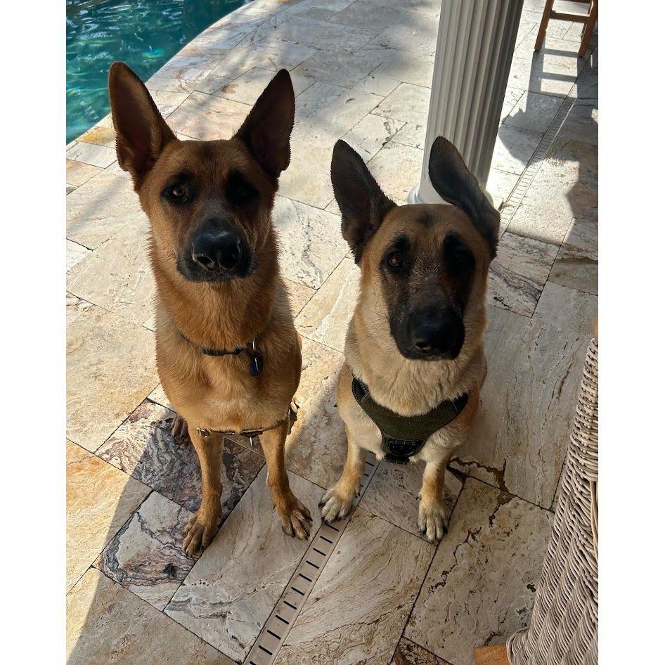 Our beautiful fur babies! We love them so much. Tito is on the left and Kaia is on the right!