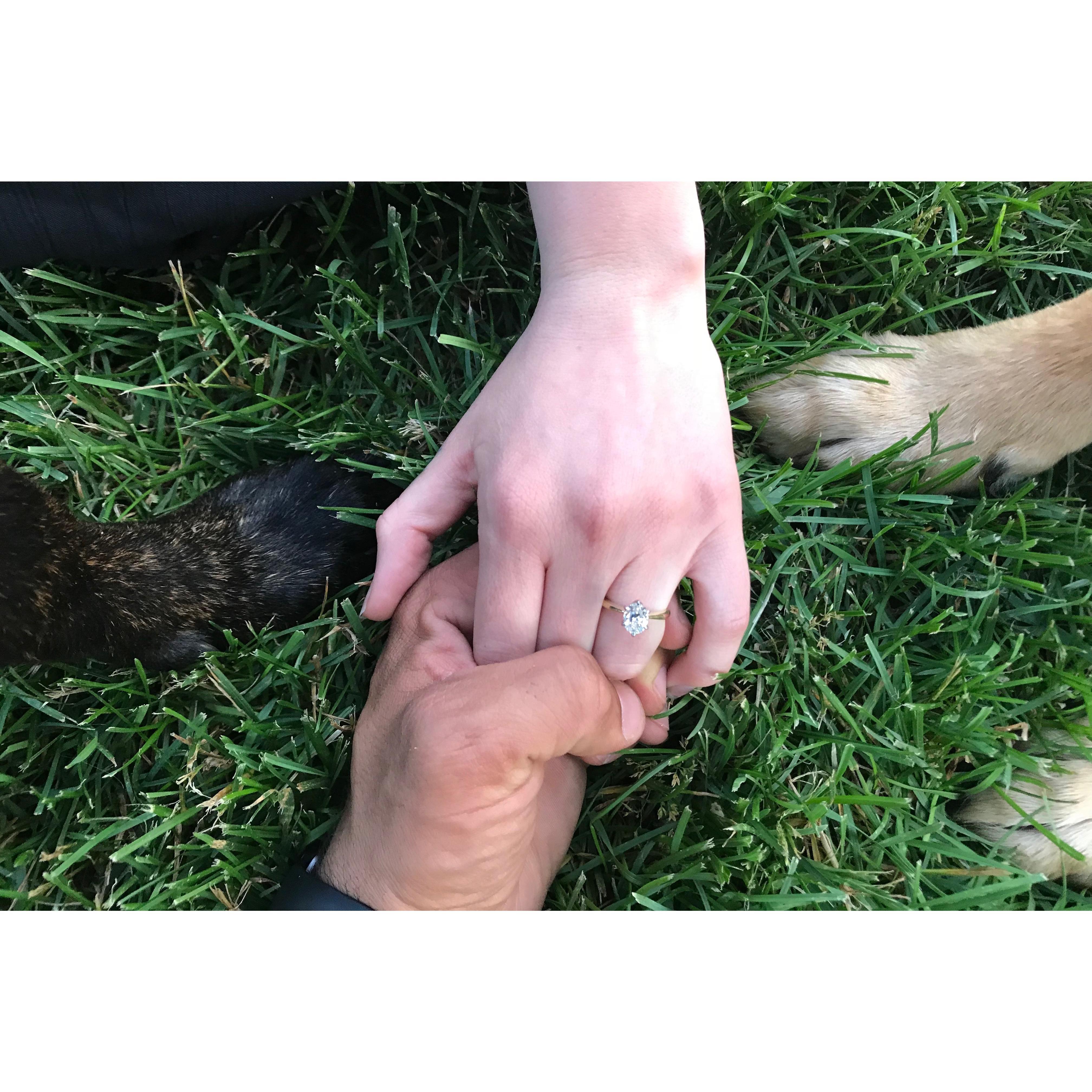 we got engaged on a lavender farm in the mountains with our dogs.