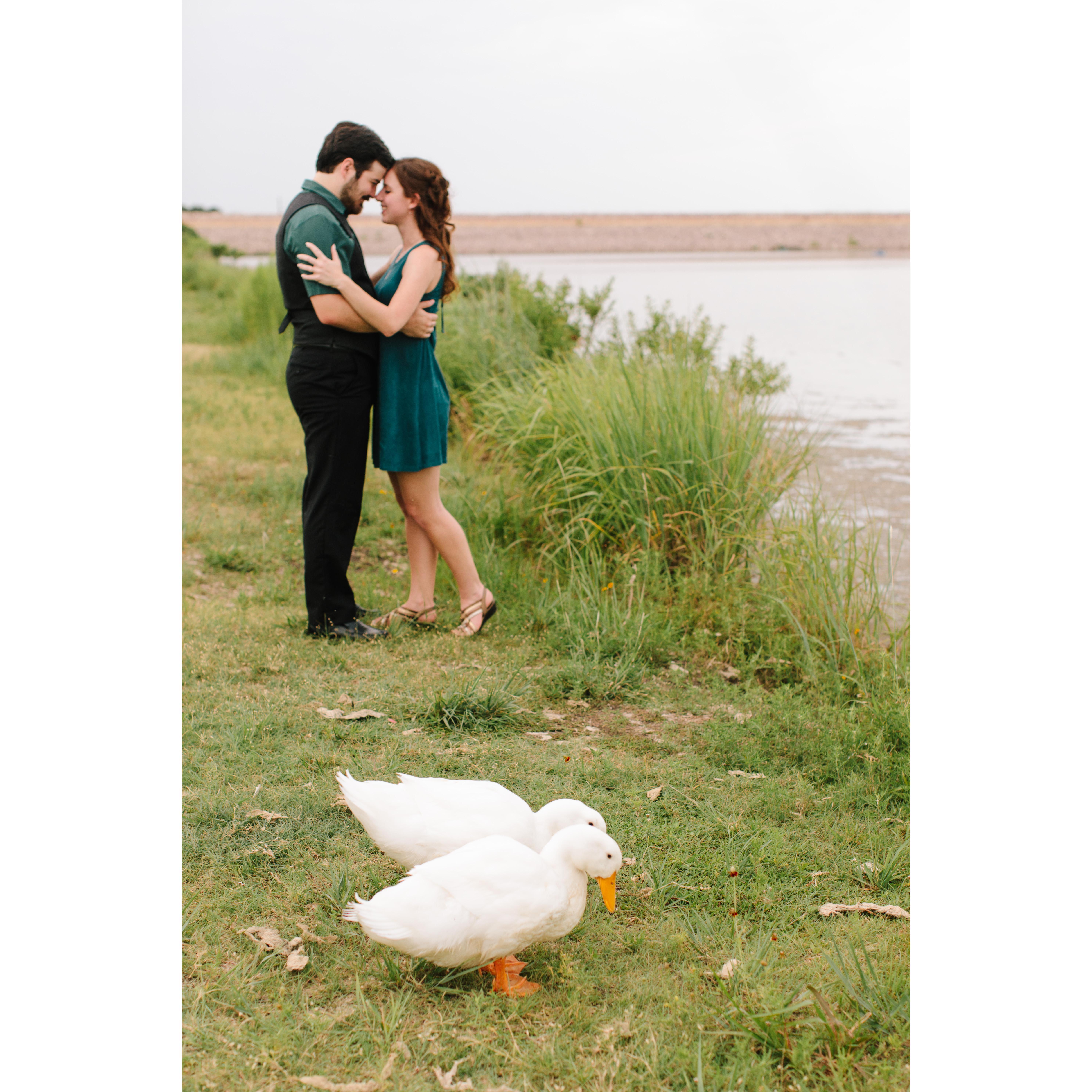 These two love birds waddled straight out of the water to join us for some photos!