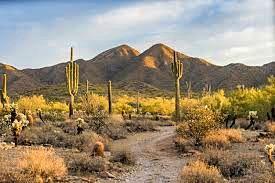 The Wedding Website of Brandon Vogel and Lauren Foley