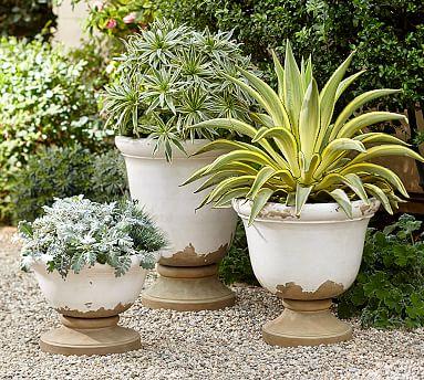 Tuscan Planters