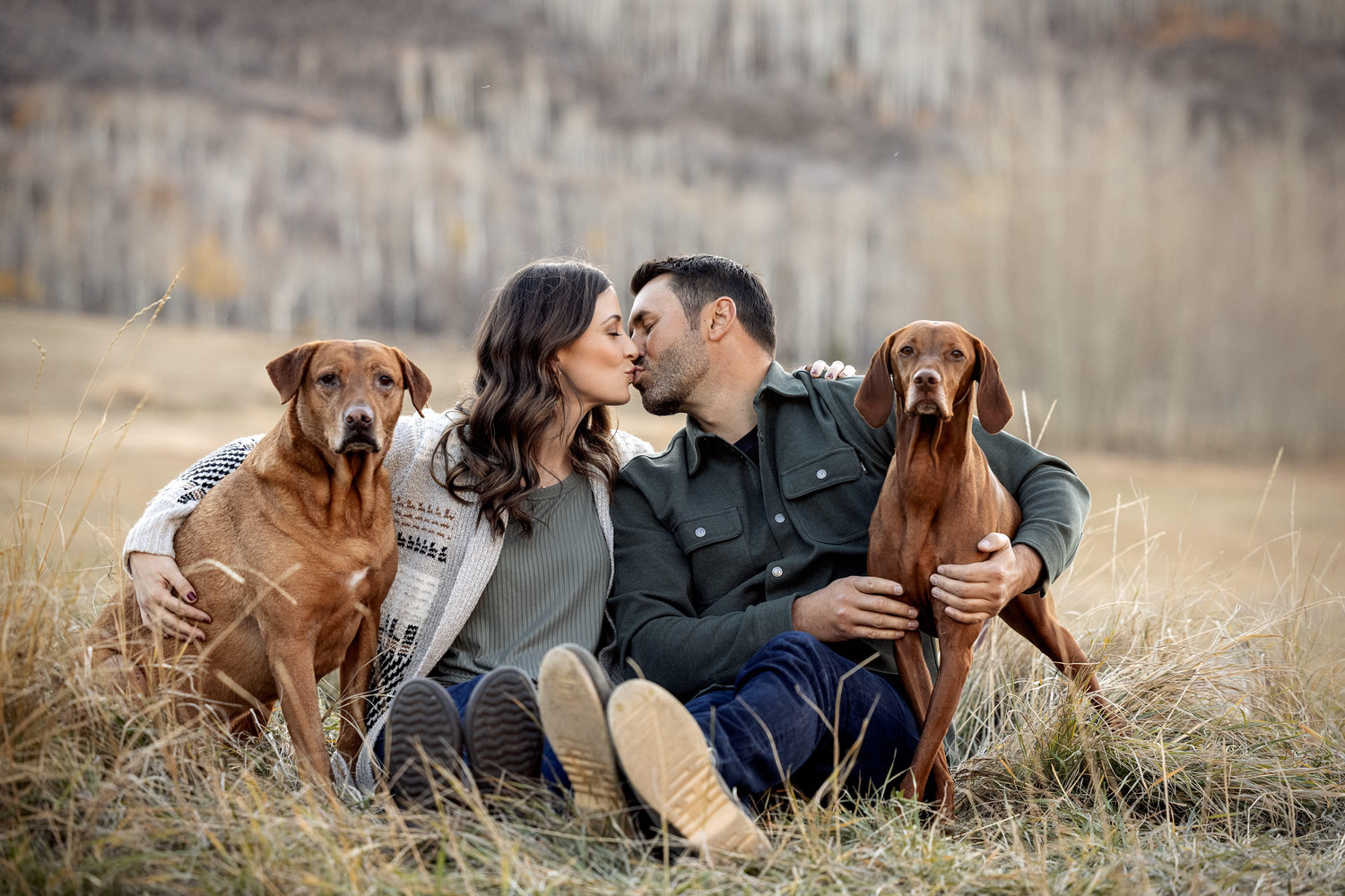 The Wedding Website of Sara Ahmadpour and Todd Francis