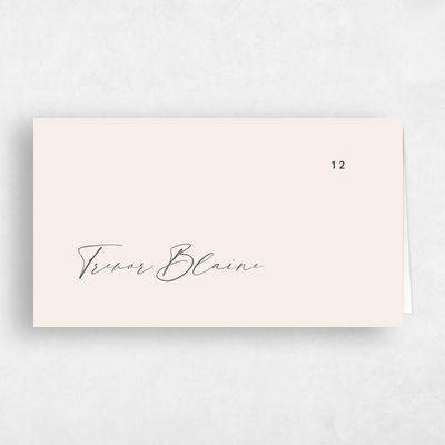 Linen, Beige Wedding Place Card - Gilmore