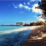 Mahai'ula beach (one of Madi's favorites!)