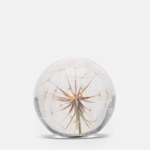 Paperweight - Goat's Beard - Large