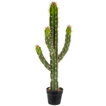 Potted Cactus