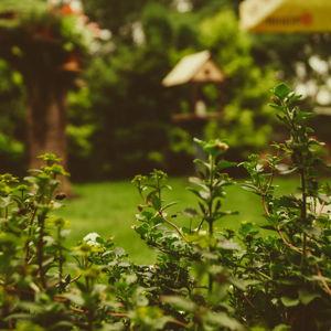 Landscaping Fund