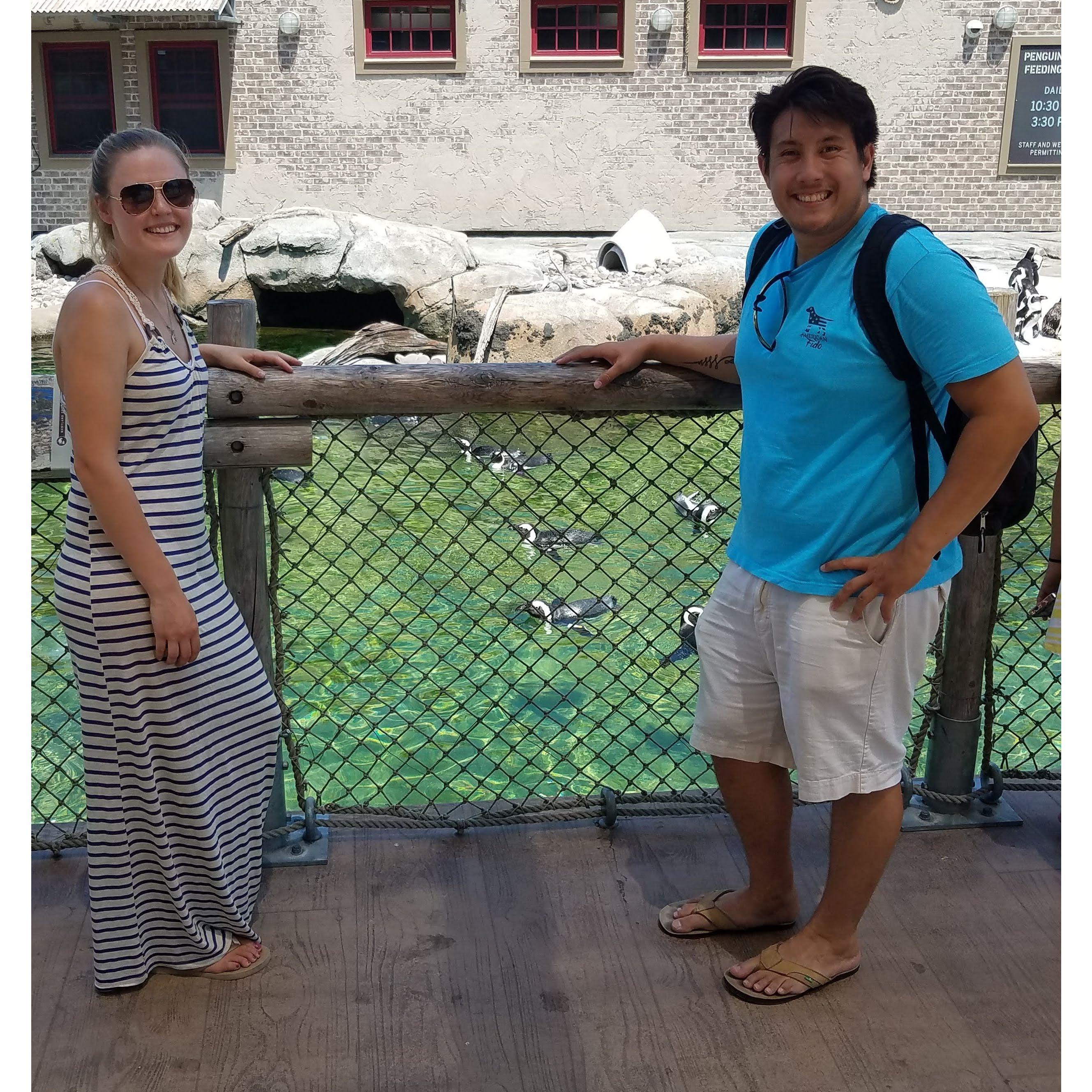 Our first visit to the Baltimore Zoo
-07.14.18
