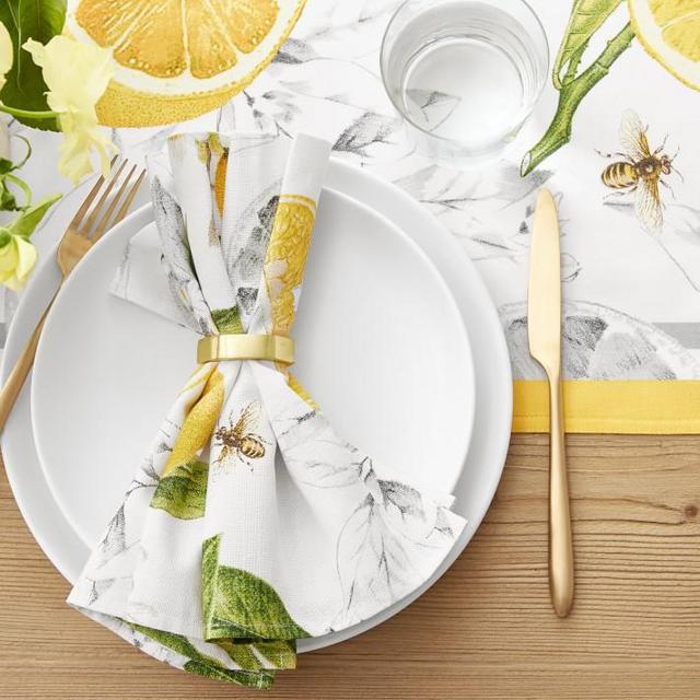 Open Kitchen by Williams Sonoma Matte Coupe Dinner Plates White