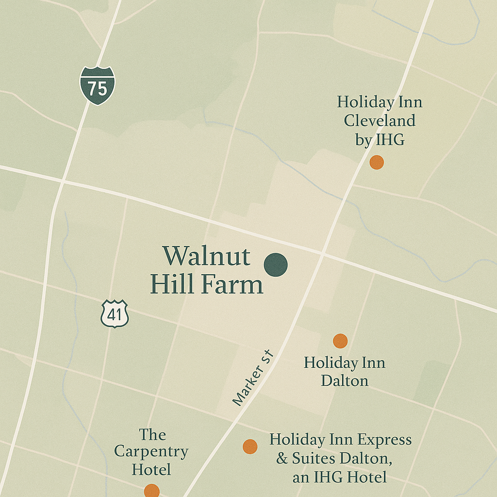 The Wedding Website of Lily Miller and Stanley Miller