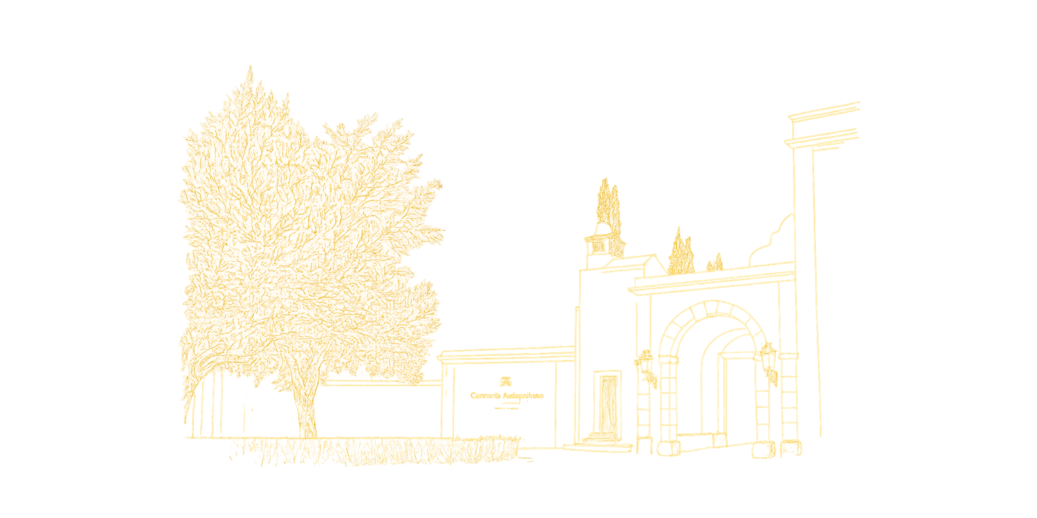 The Wedding Website of Rita Pato Rosa and Paulo Pereira