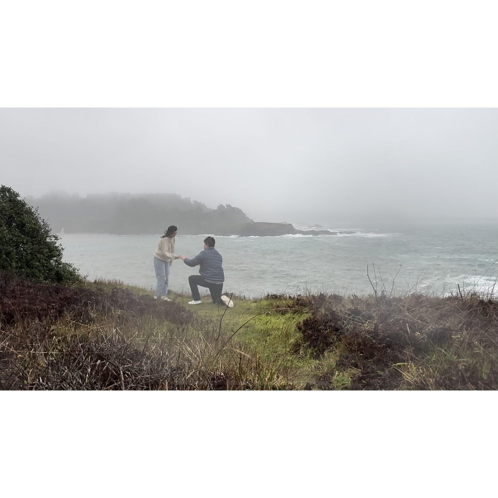 Mendocino proposal (I might have said yes)