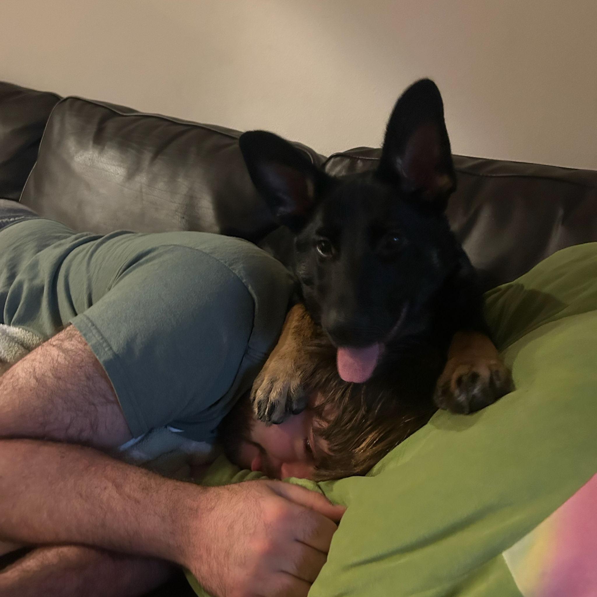 Mango asserting dominance (2025)