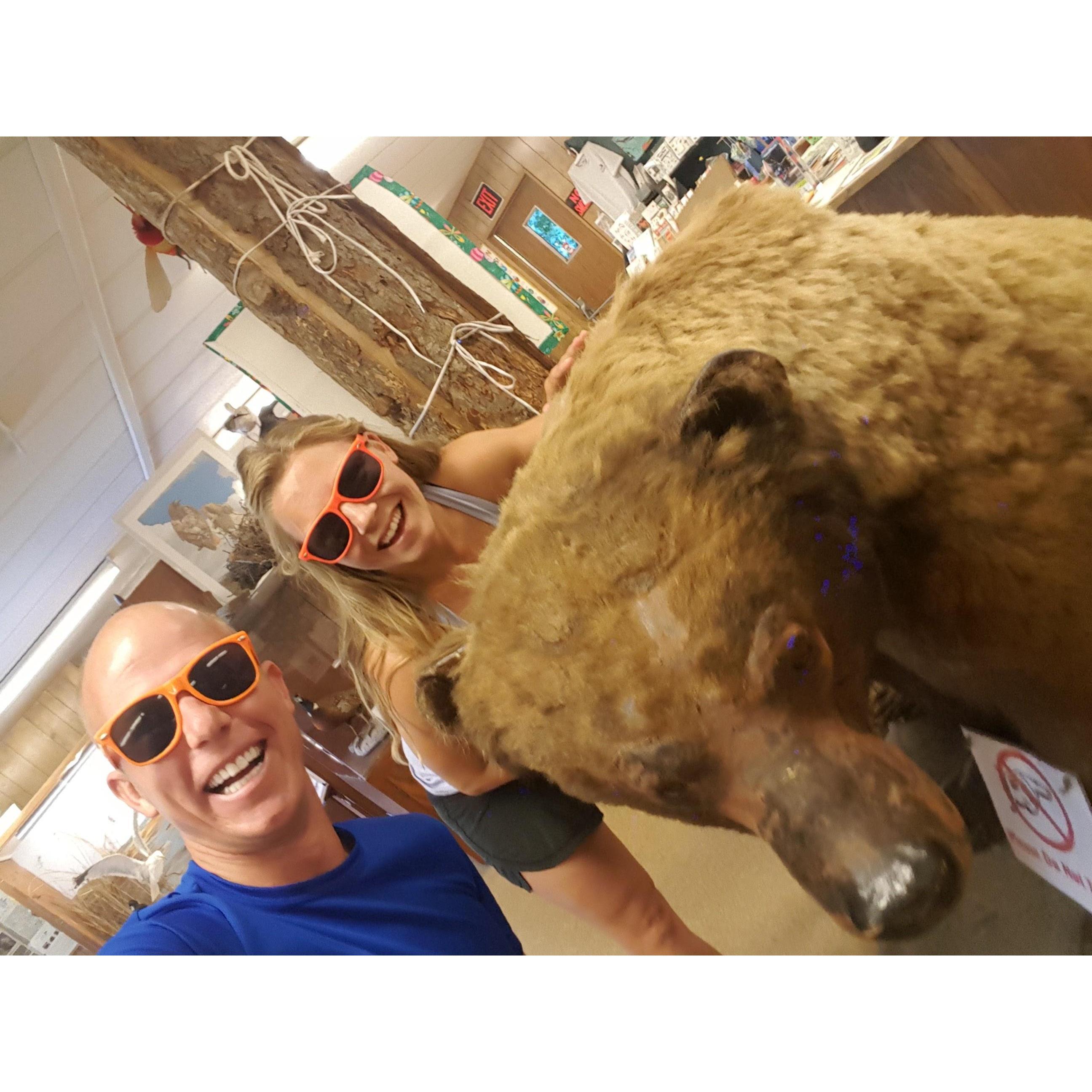 mid run bear necessities - golden gate relay 2016