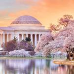 Washington D.C