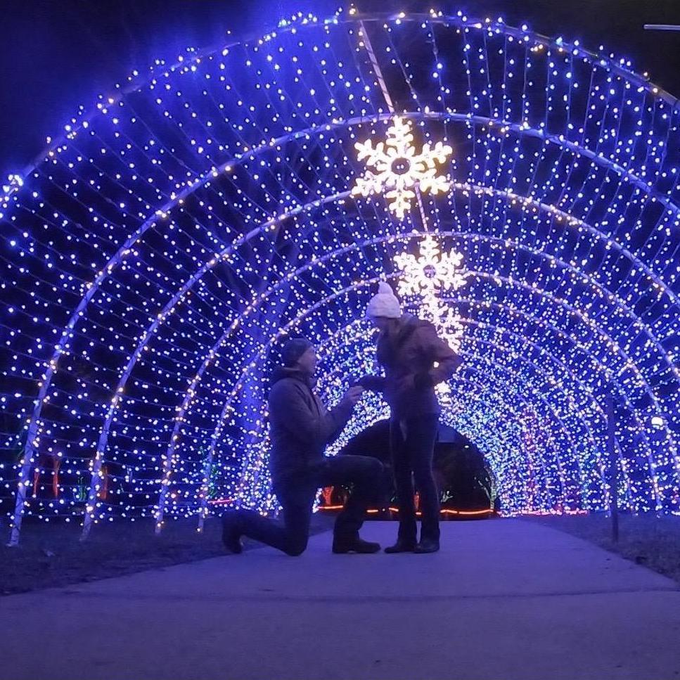 The proposal! December 2018