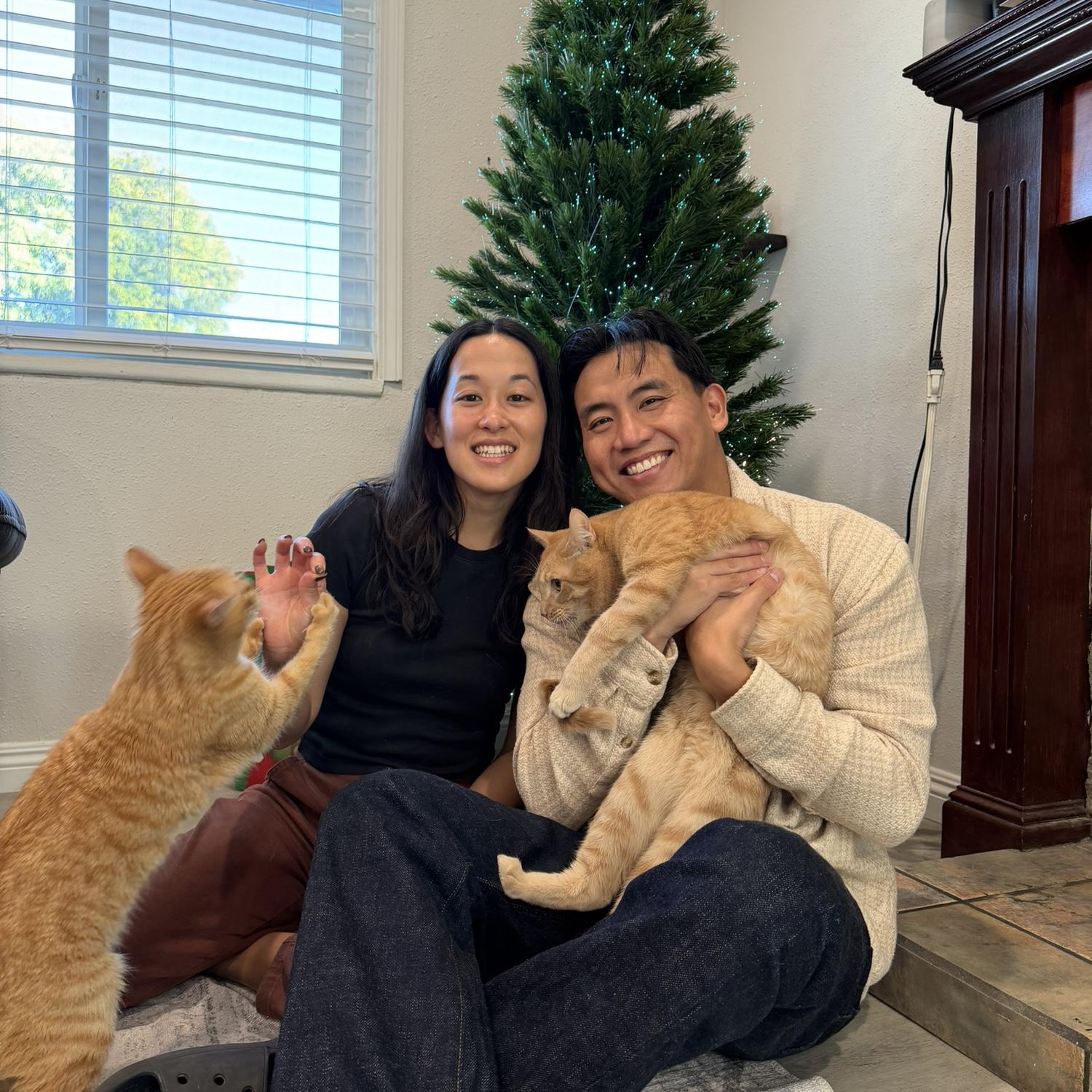 Pepper and Pliny, our two orange menaces