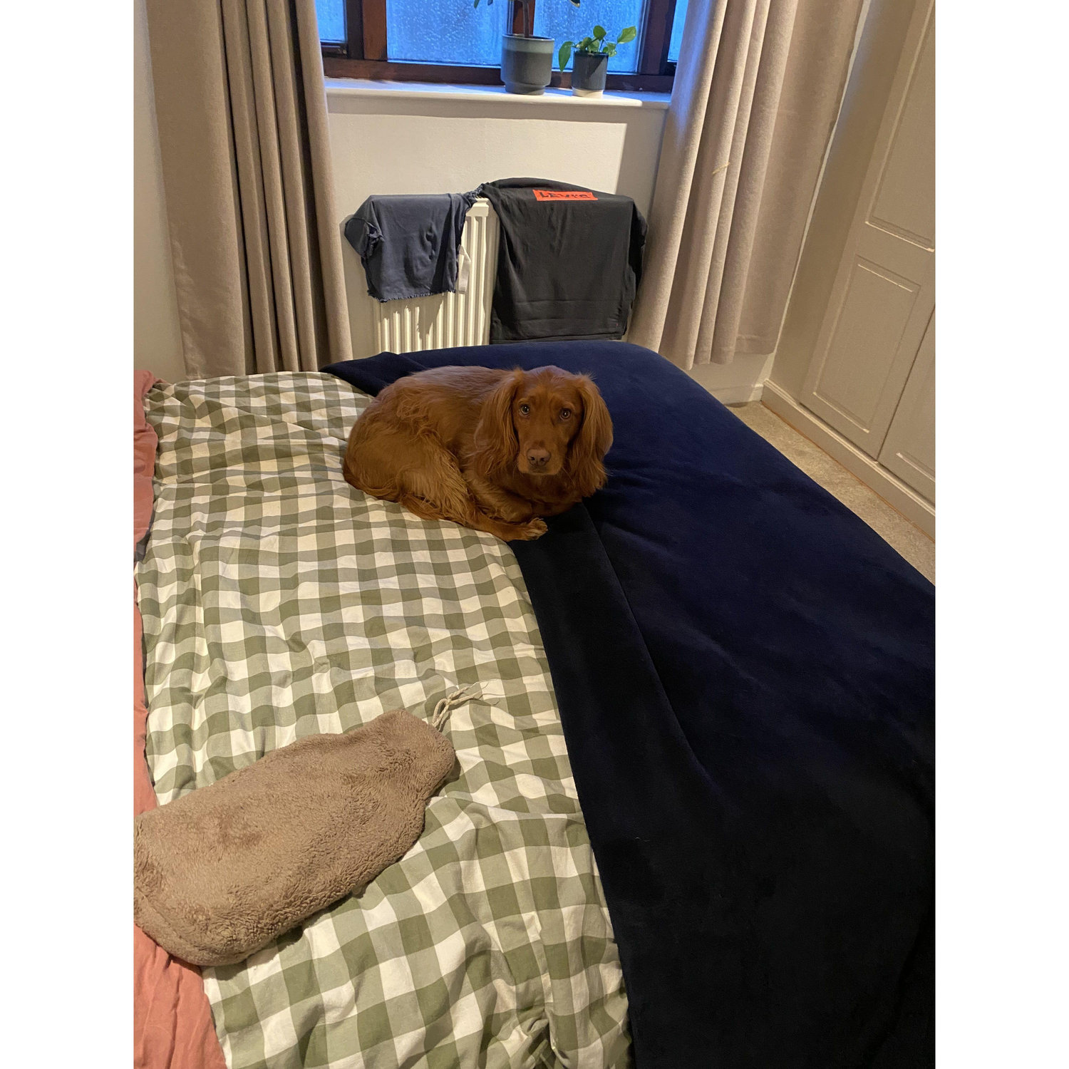 His comfy spot