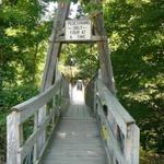 Swinging Bridge