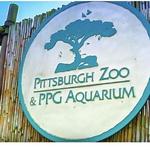 Pittsburgh Zoo & Aquarium