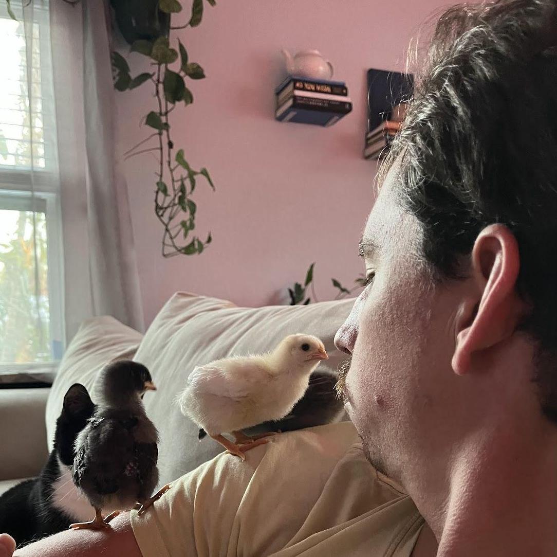 Quinlin became a chicken dad.