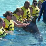 Dolphinaris