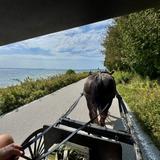 Mackinac Island