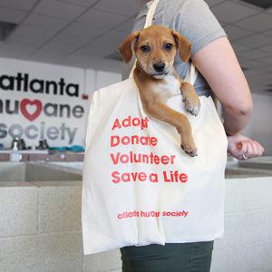 Atlanta Humane Society Donation
