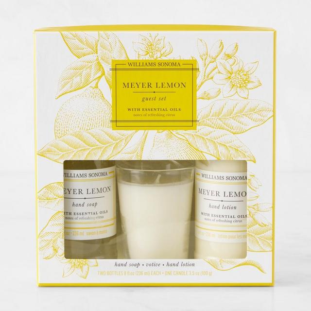 Williams-Sonoma Meyer Lemon Guest Set
