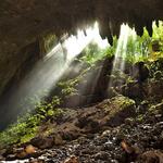 Cavernas de Camuy