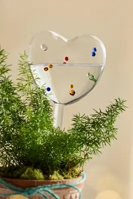 Confetti Glass Heart Watering Globes, Set of 2