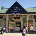The Maryland Zoo in Baltimore