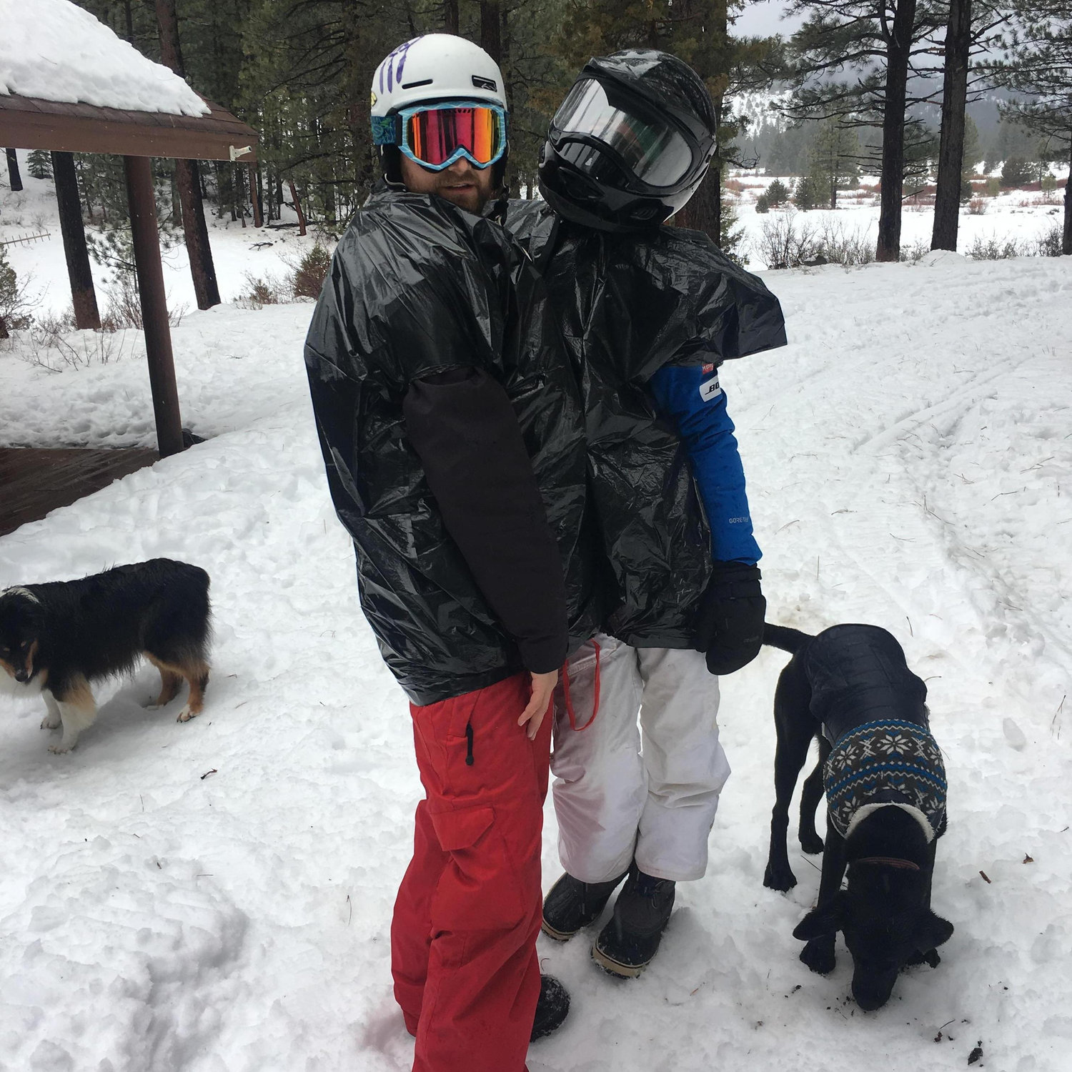 Snowmobiling at the Cabin