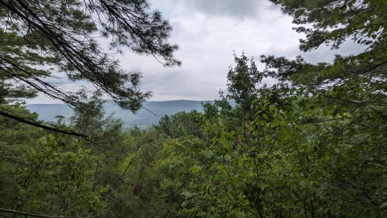 The Wedding Website of Moira Miller and Sean Harpst