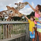 Zoo Miami