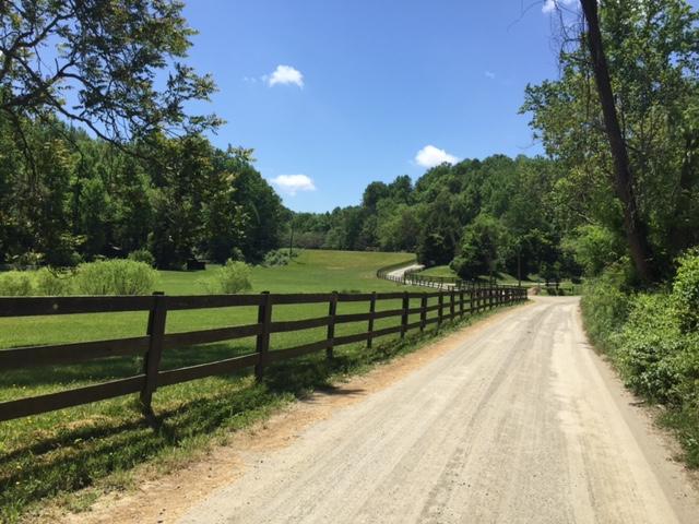 The Wedding Website of Anna Beecher and Luke Dahl