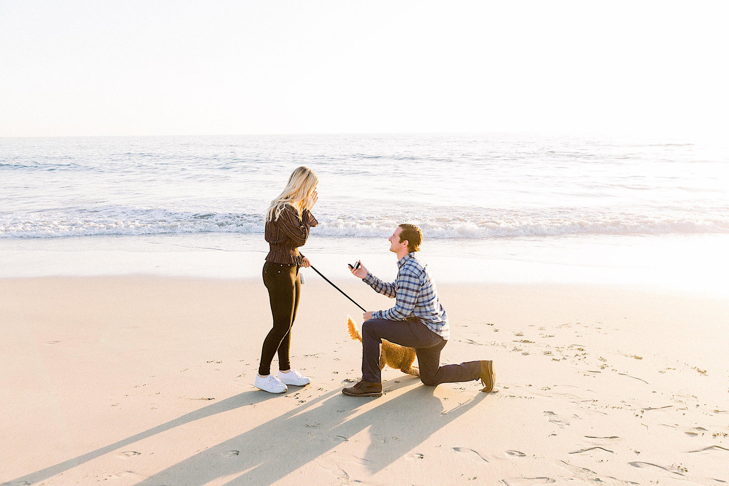 The Wedding Website of Erica Grochow and Brian Sloan