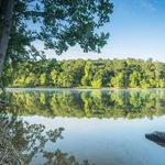 Black Hill Regional Park