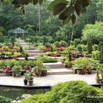 Sarah P. Duke Gardens