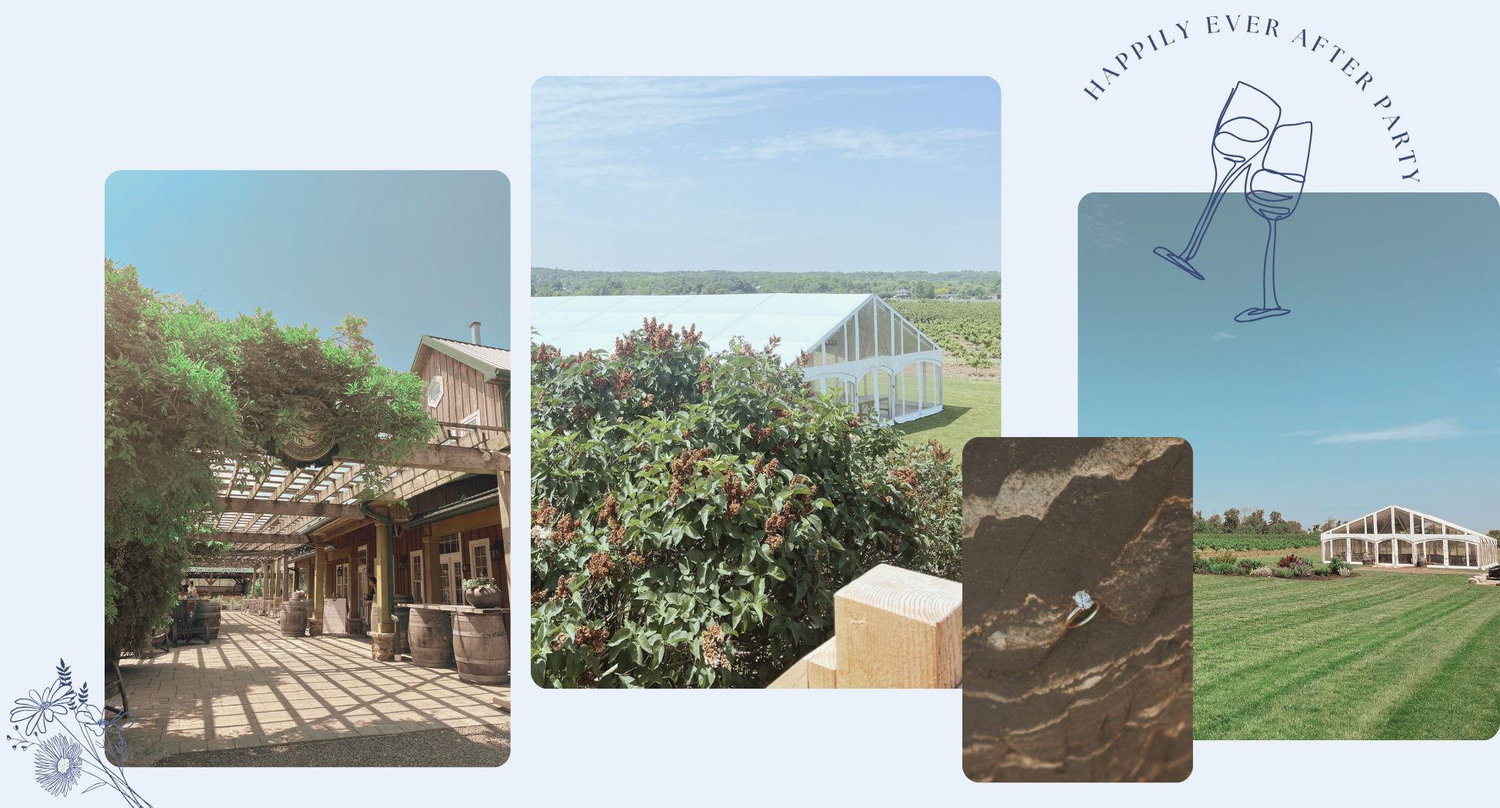 The Wedding Website of Stephanie Williamson and Andre Carere