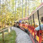 Museum of Life and Science