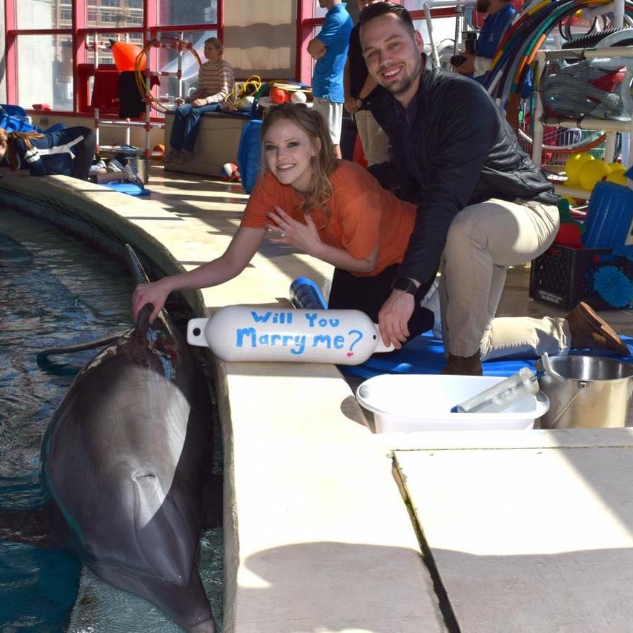 Full circle, Zach planned a surprise engagement with a surprise dolphin encounter. One of the best days of my life!