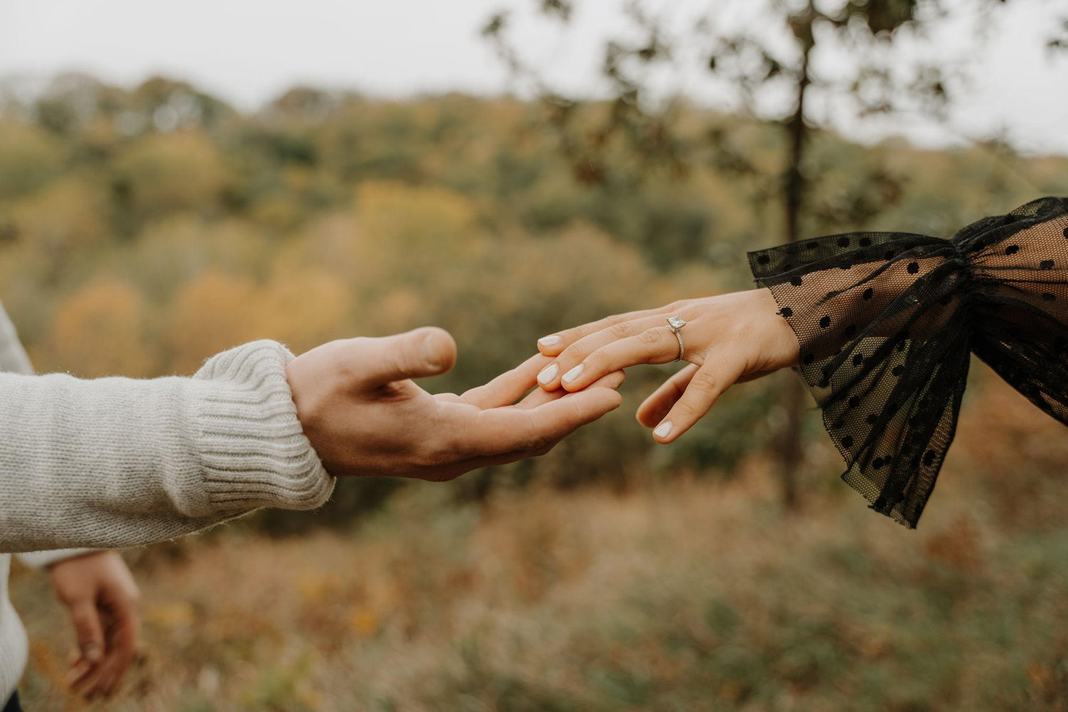 The Wedding Website of Malia Shirley and Grant Haile