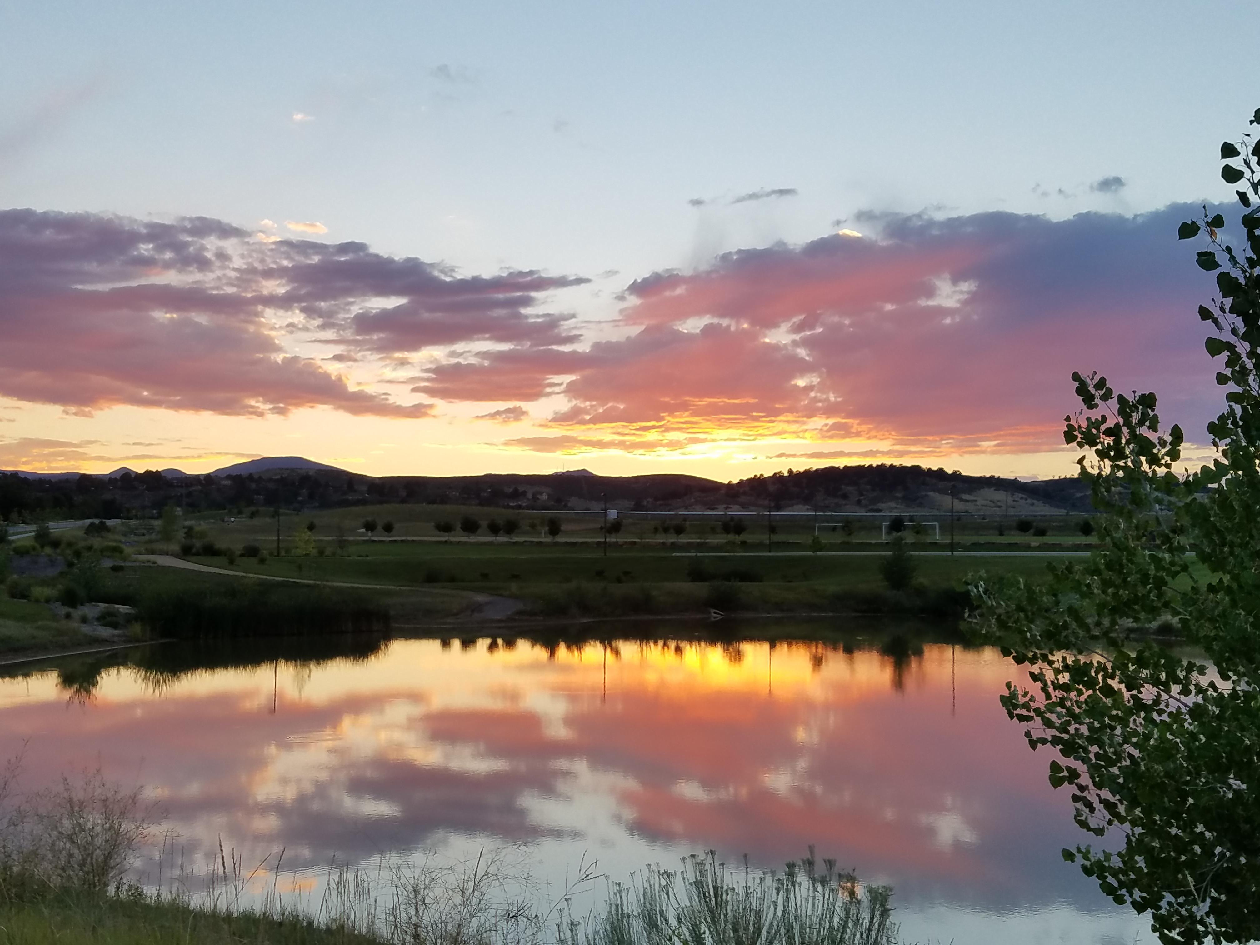 The Wedding Website of Courtney Brown and John Fiers