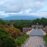 Cathedral of the Pines
