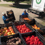 Sang Lee Farms