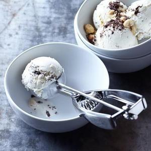 Williams Sonoma Open Kitchen Ice Cream Scoop